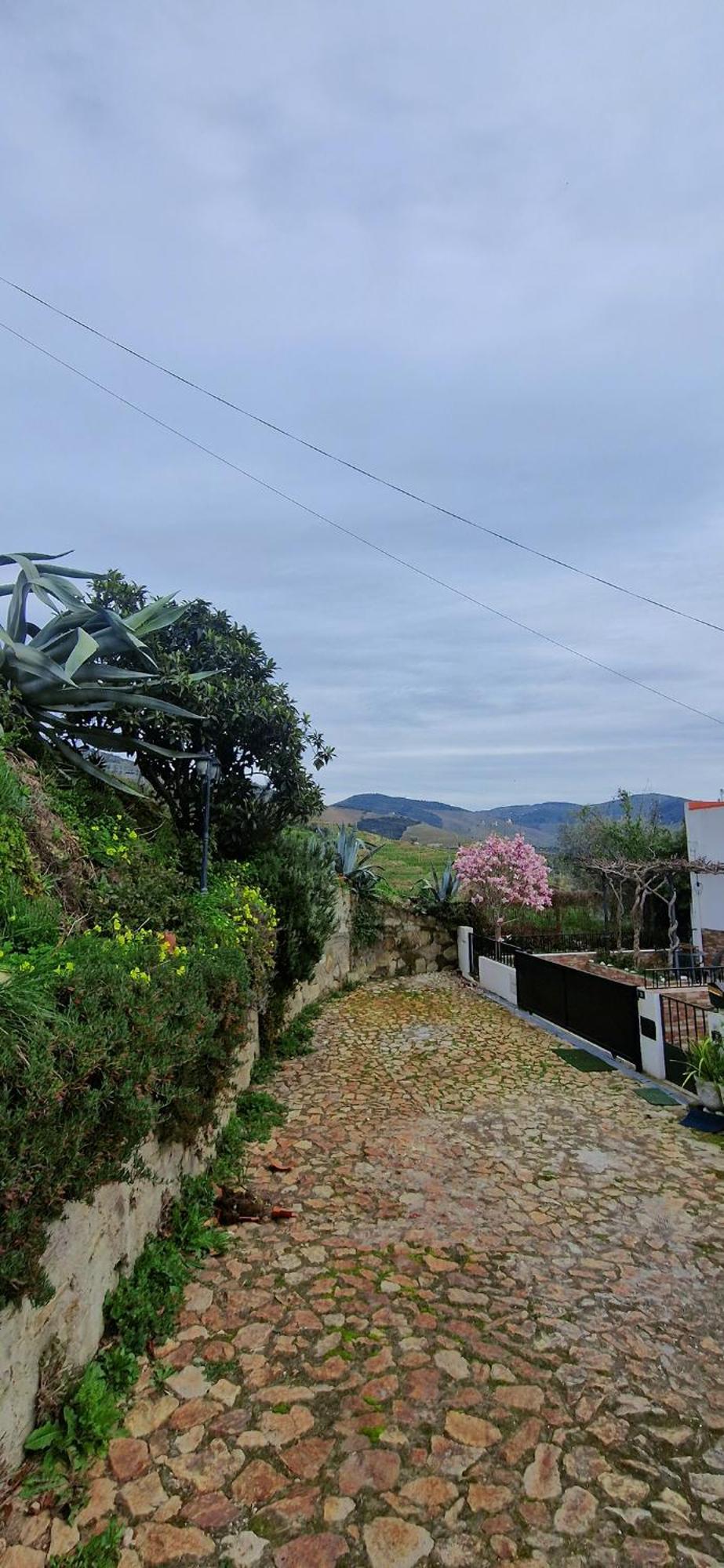 Casa Rodrigues Βίλα Pinhão Εξωτερικό φωτογραφία