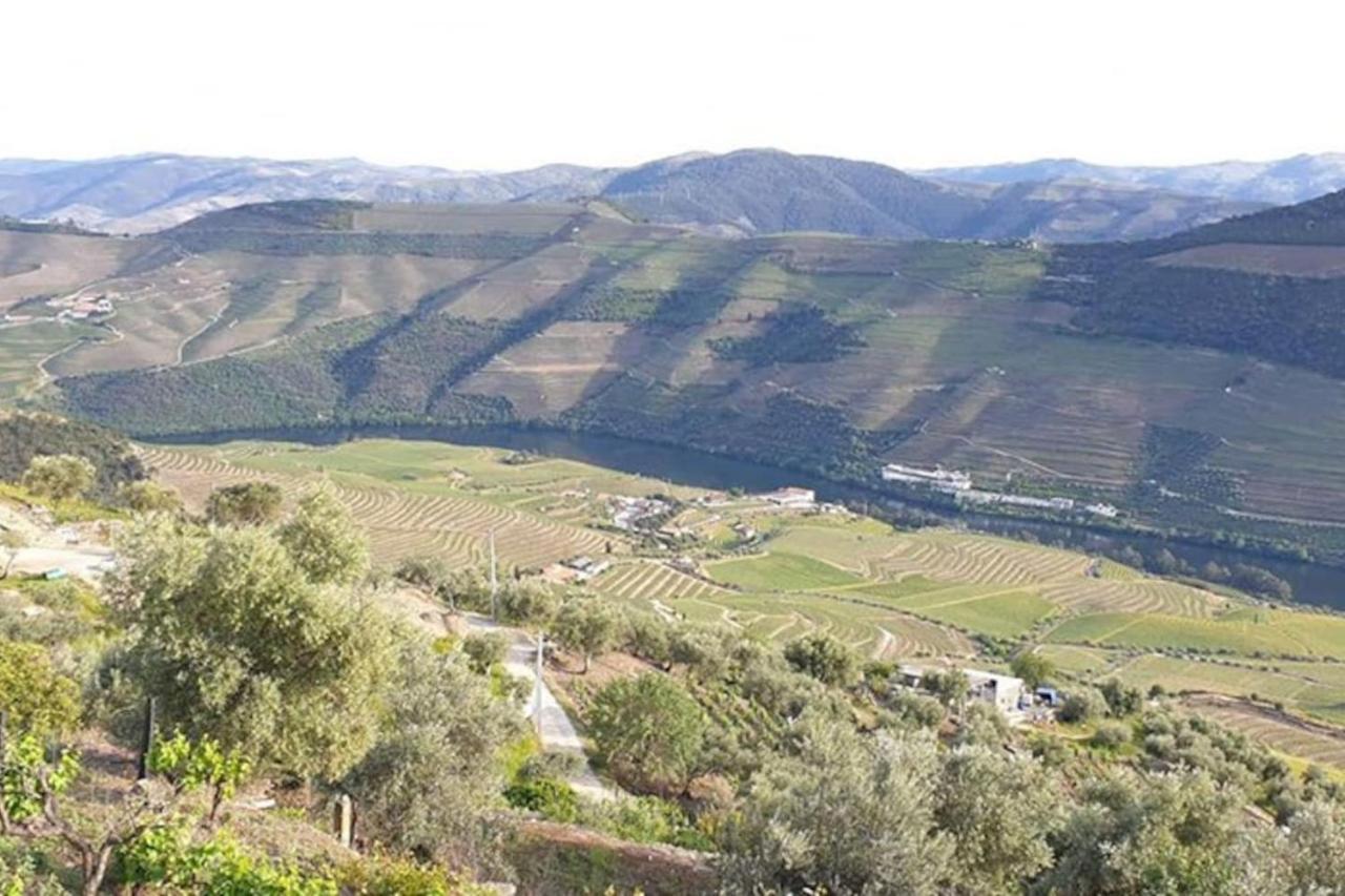 Casa Rodrigues Βίλα Pinhão Εξωτερικό φωτογραφία